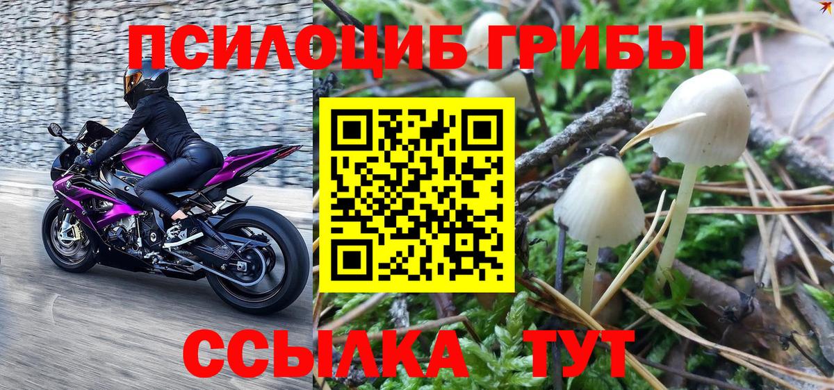 купить  цена  Псилоцибиновые грибы мухоморы  Вход с VPN  Тимашёвск 